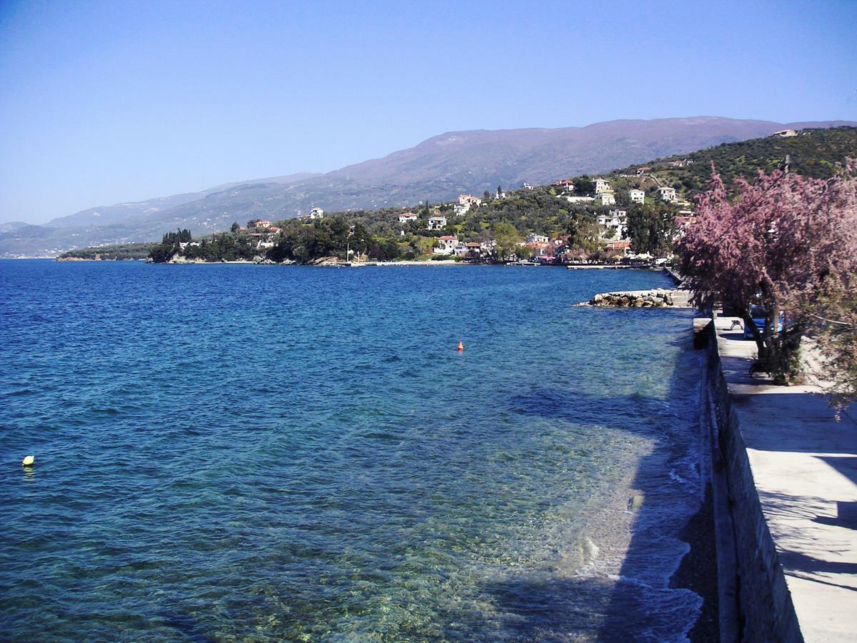Faros Hotel Afissos Rum bild